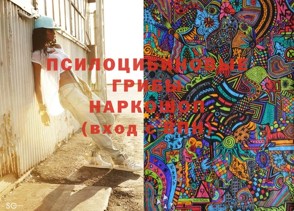 PSILOCYBIN Алзамай