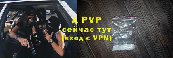 хмурый Ладушкин