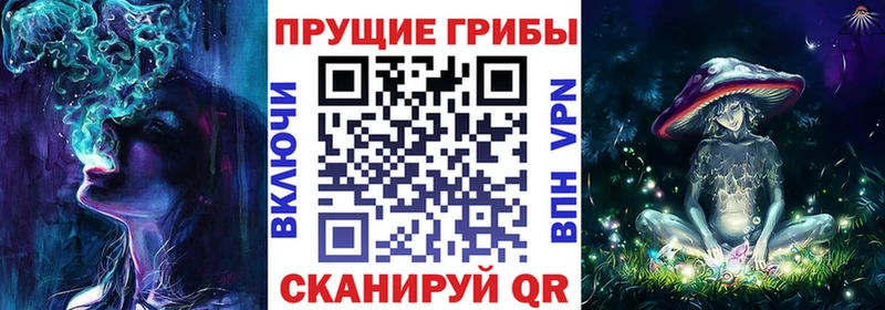 Галлюциногенные грибы ЛСД  где продают наркотики  Тында 
