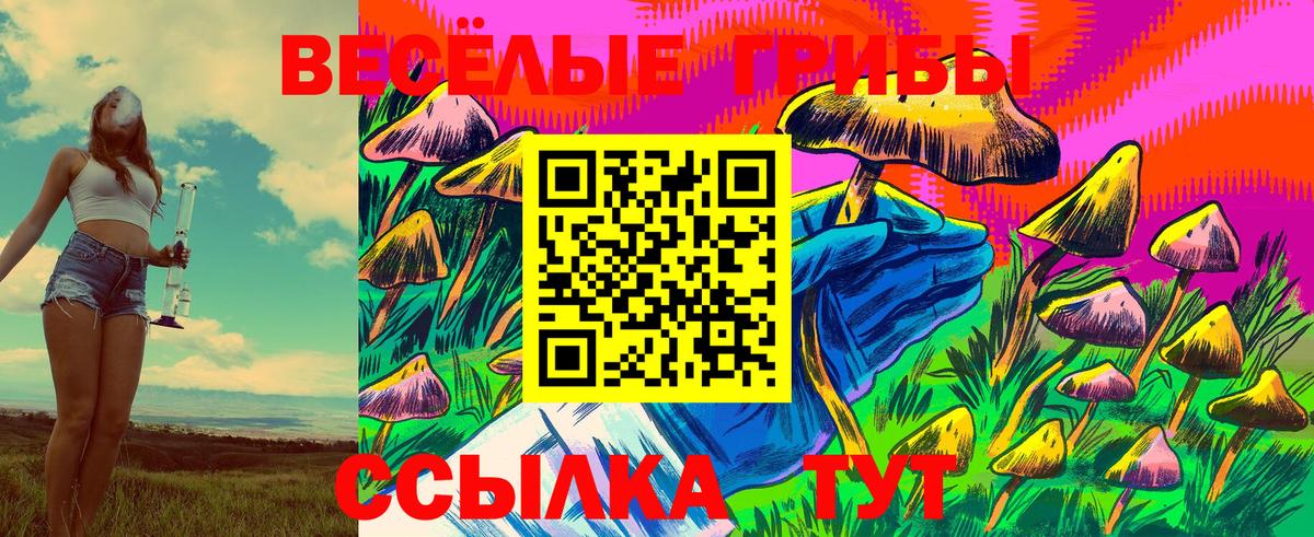 Галлюциногенные грибы Cubensis Тында