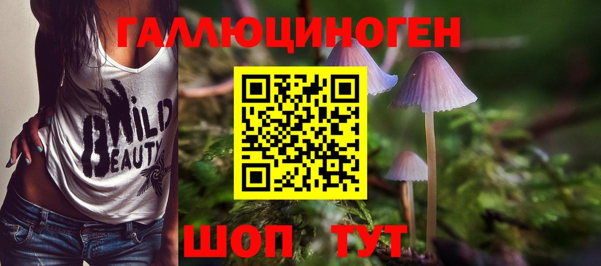 Галлюциногенные грибы GOLDEN TEACHER  Вход с VPN  Тында 
