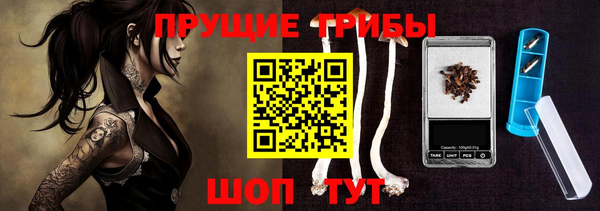 Псилоцибиновые грибы Psilocybine cubensis  Тында 